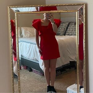 TCEC dress (M)